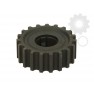 Pinion arbore cotit