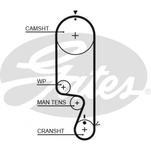 Curea distributie