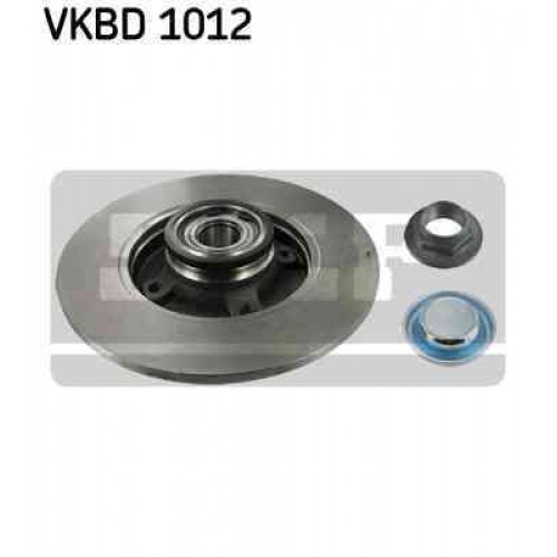 Brake disk with bearing