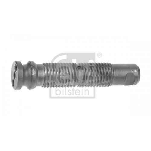 Leaf spring bolt