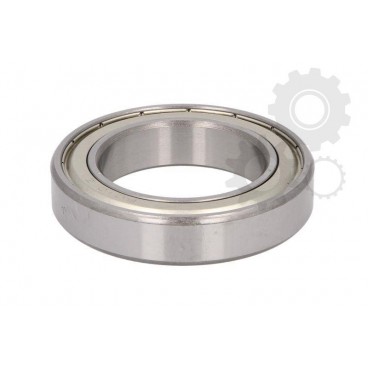 Standard ball bearing