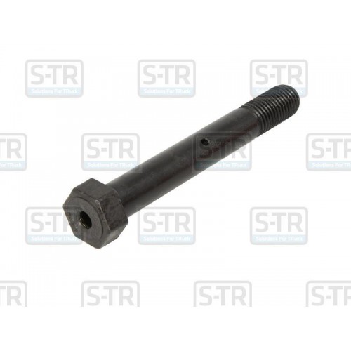 Leaf spring bolt