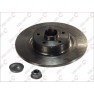 Brake disk with bearing