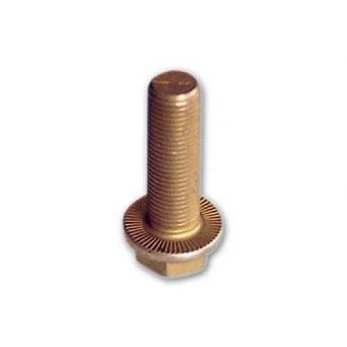 Raw Hex bolts