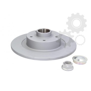 Brake disk with bearing