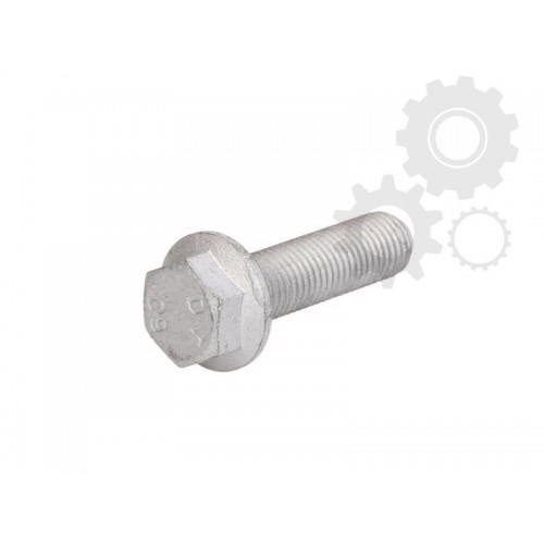 Raw Hex bolts