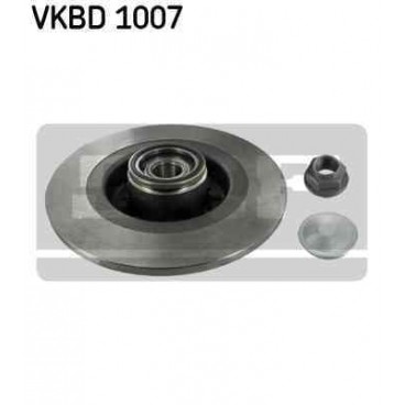 Brake disk with bearing