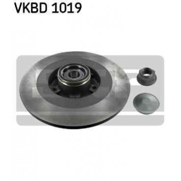 Brake disk with bearing