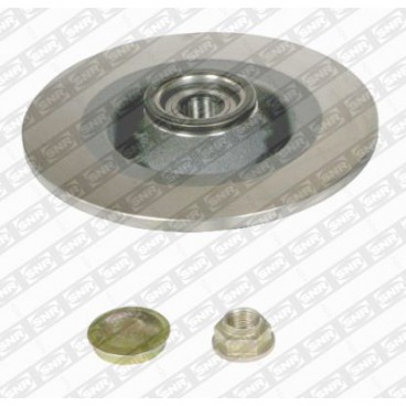 Brake disk with bearing