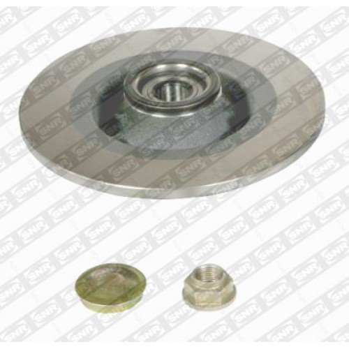 Brake disk with bearing