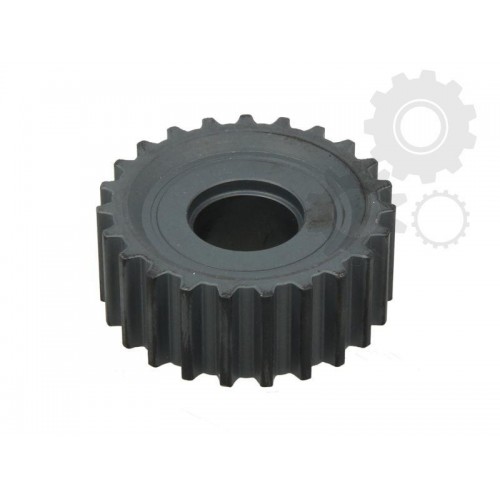 Pinion arbore cotit