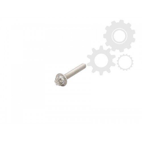 Gearbox bolt