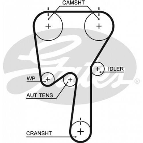 Curea distributie