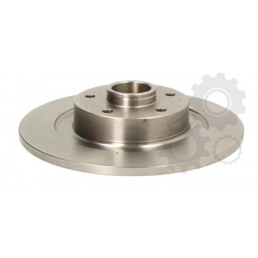 Brake disk with bearing