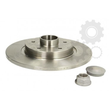 Brake disk with bearing