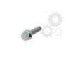 Wheel bolt