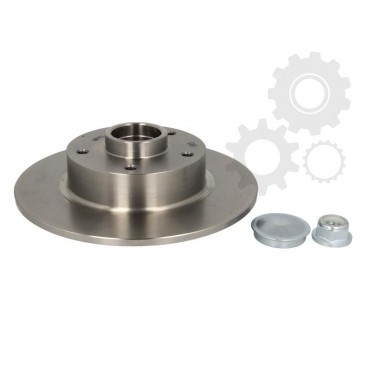 Brake disk with bearing