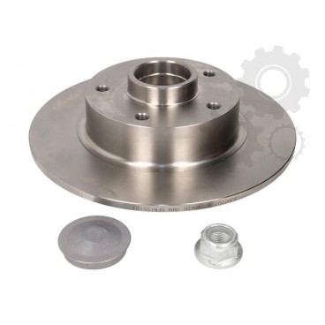 Brake disk with bearing