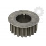 Pinion arbore cotit