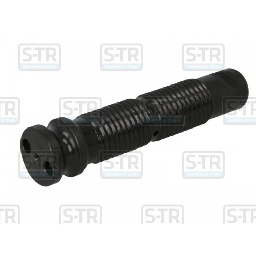 Leaf spring bolt