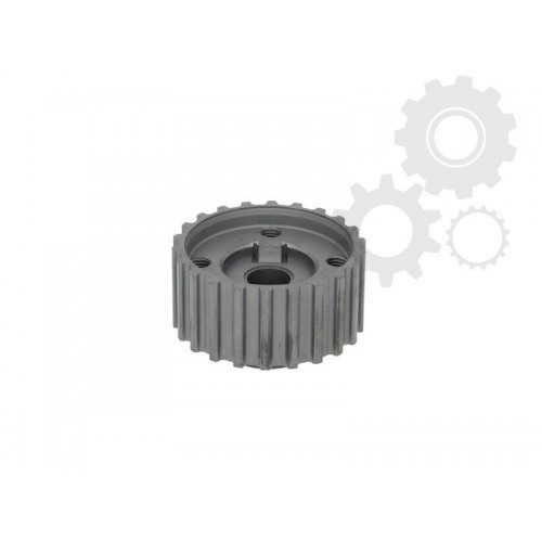 Pinion arbore cotit