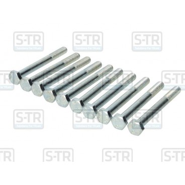 Raw Hex bolts