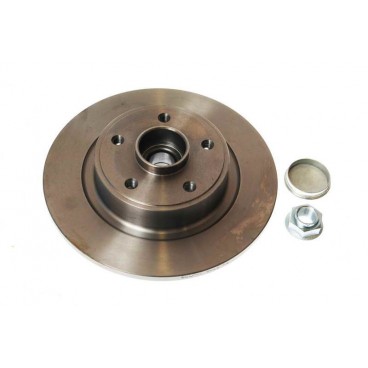 Brake disk with bearing