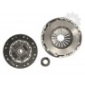 Clutch kit with bearing