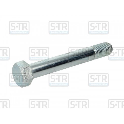 Leaf spring bolt