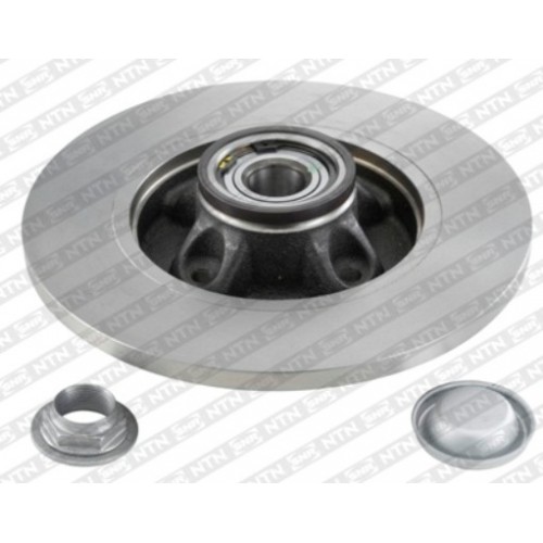 Brake disk with bearing