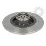 Brake disk with bearing