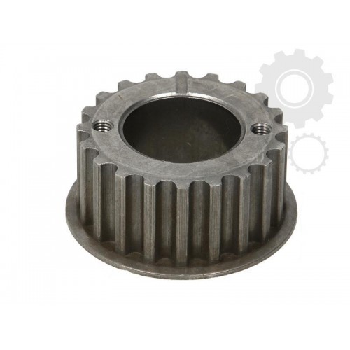 Pinion arbore cotit