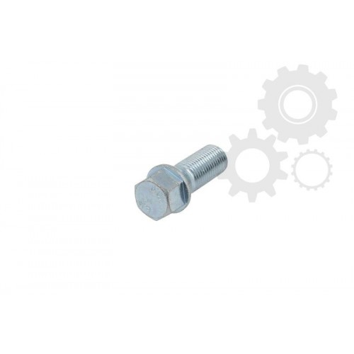 Wheel bolt