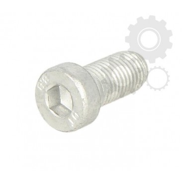 Raw Hex bolts