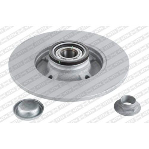 Brake disk with bearing