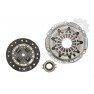 Clutch kit with bearing