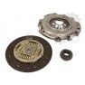 Clutch kit with bearing