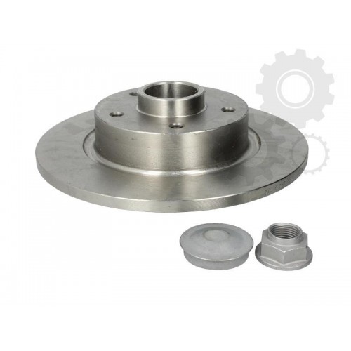 Brake disk with bearing