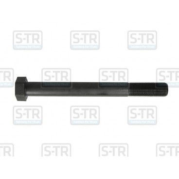 Leaf spring bolt