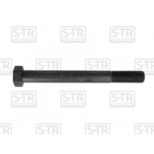 Leaf spring bolt