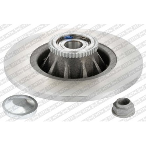 Brake disk with bearing