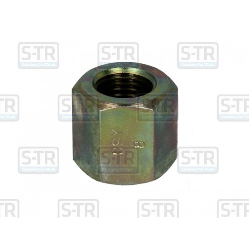 Leaf spring fixing nut