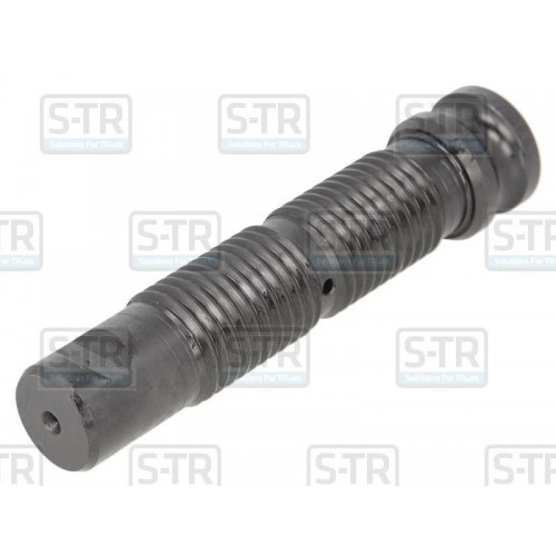 Leaf spring bolt