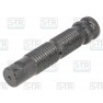 Leaf spring bolt