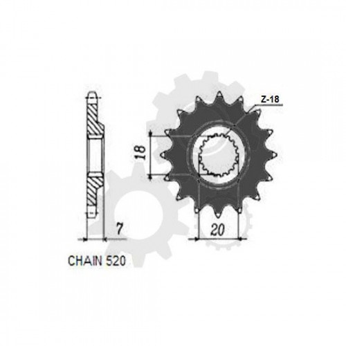 Pinion fata