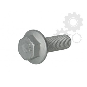 Raw Hex bolts