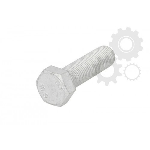 Raw Hex bolts