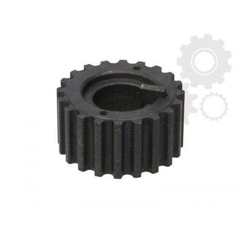 Pinion arbore cotit