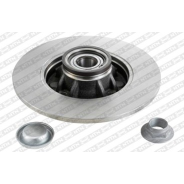 Brake disk with bearing