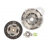 Clutch kit with bearing